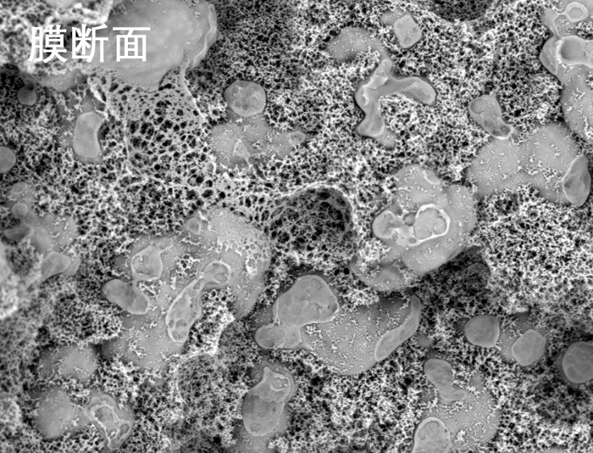 Stake烧结管式膜电镜照片